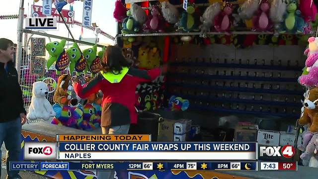 Last chance to catch the Collier County Fair this weekend - 7:30am live report
