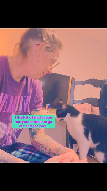 Anyone hiring cats right meow?