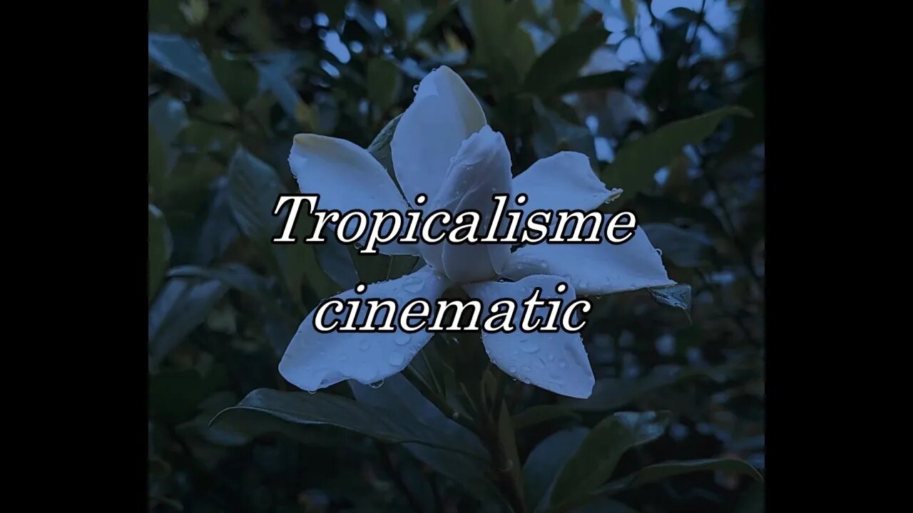 Tropicalisme cinematic| yadi samudra