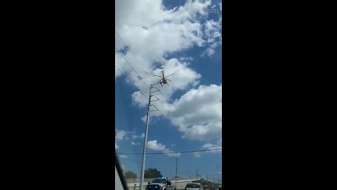 Duke Energy linemen hang from helicopters to replace wires in Pinellas County