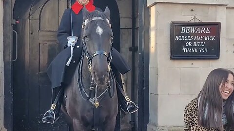 Acting like fools around the horse #horseguardsparade