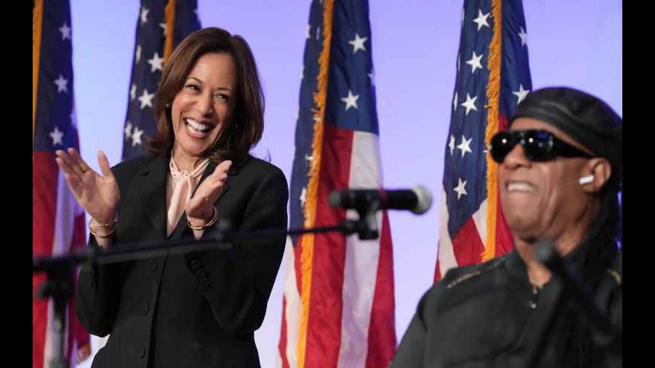 Former Clinton Pollster Rips Kamala Harris Over 'Larger Problem