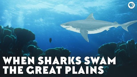 When Sharks Swam the Great Plains