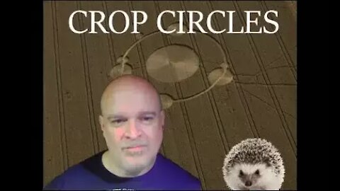 Crop Circles: UFOs or Hedgehogs?