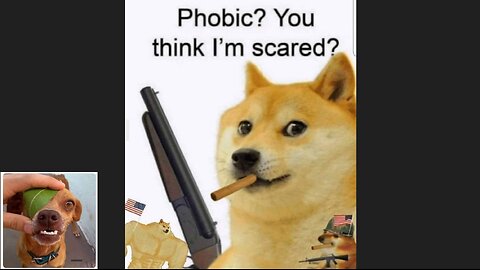 Memes That Will 99.93% Make You Laugh. (e155)