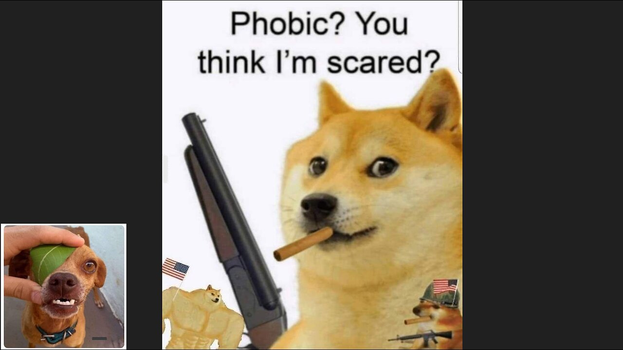 Memes That Will 99.93% Make You Laugh. (e155)