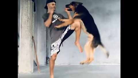 How to Defend Against Dog Attack