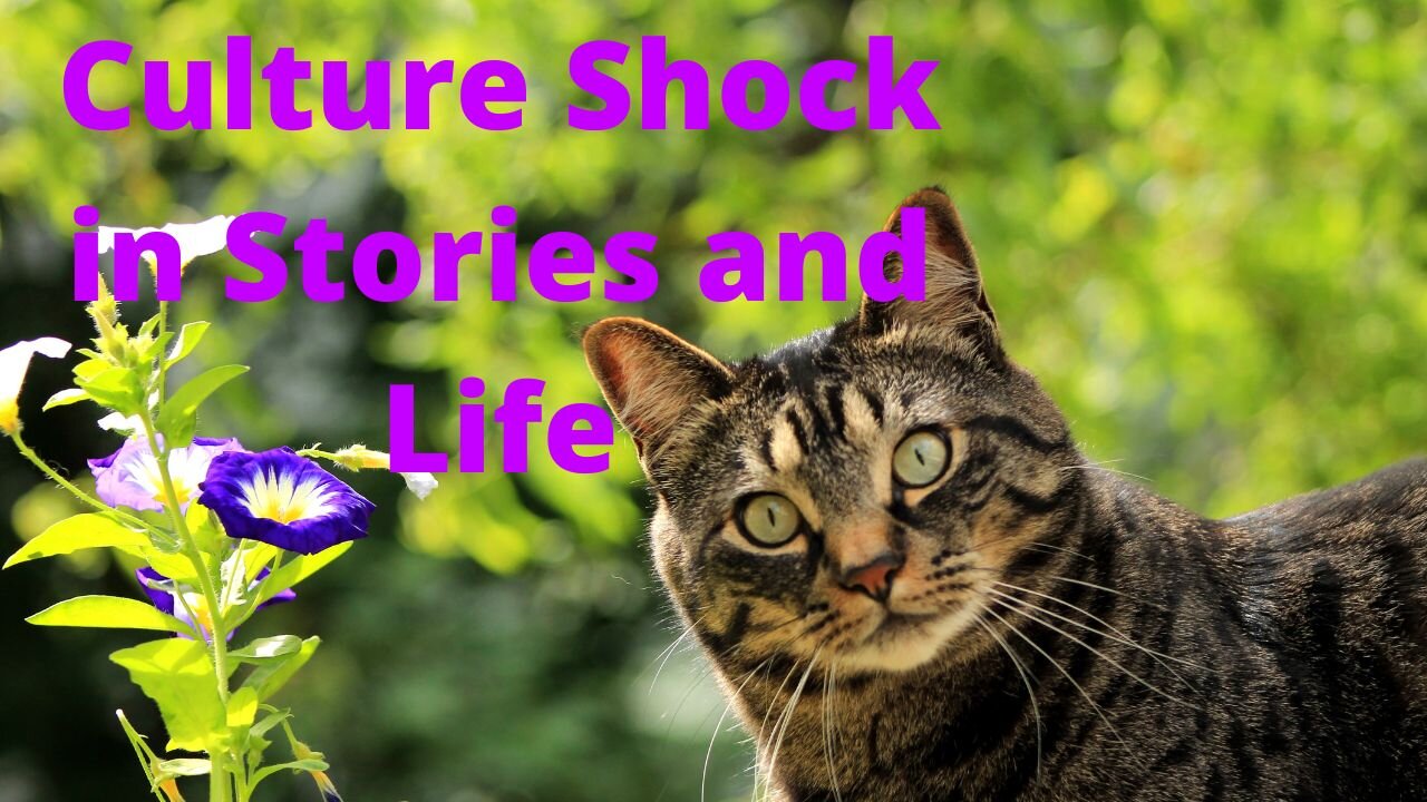 Culture Shock in Stories and Life