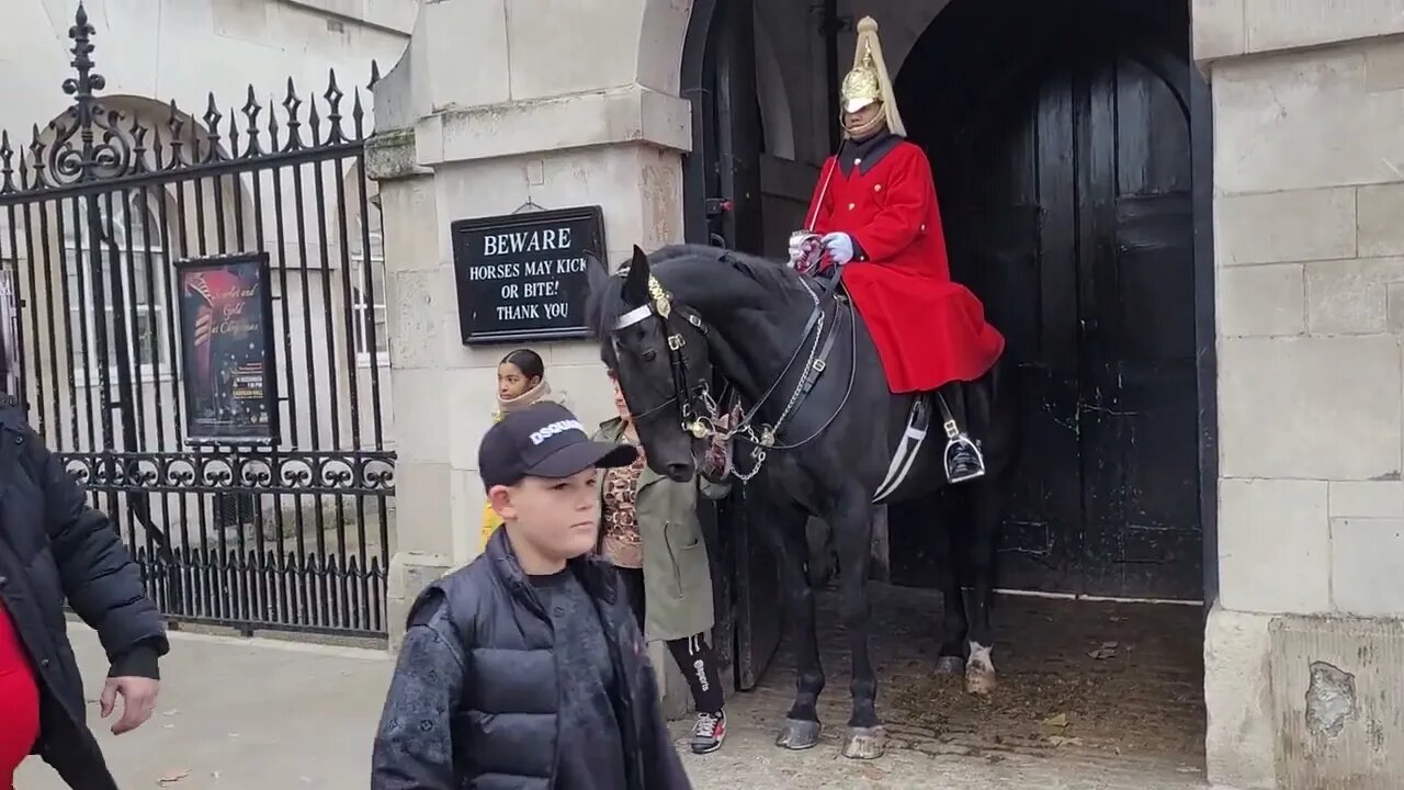 Holding the Reins #horseguardsparade