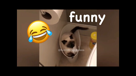 Funny Animal Videos Compilation (2022) 🐶🐱🤣🥰 #3