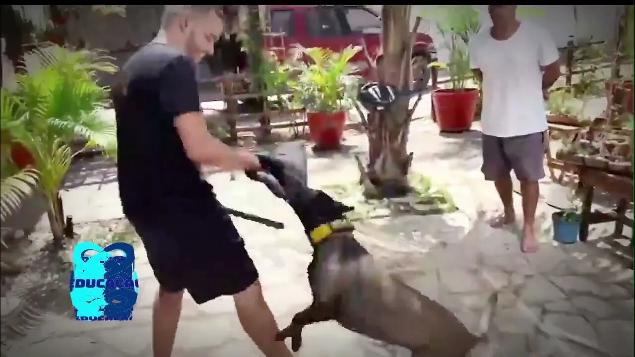 ß Ø ¥ Å: TREINO DE PROTEÇÃO PESSOAL