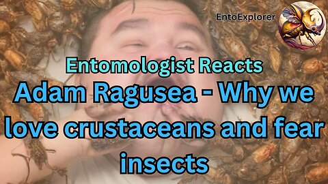 Entomologist Reacts to "Adam Ragusea - Why we love crustaceans and fear insects"