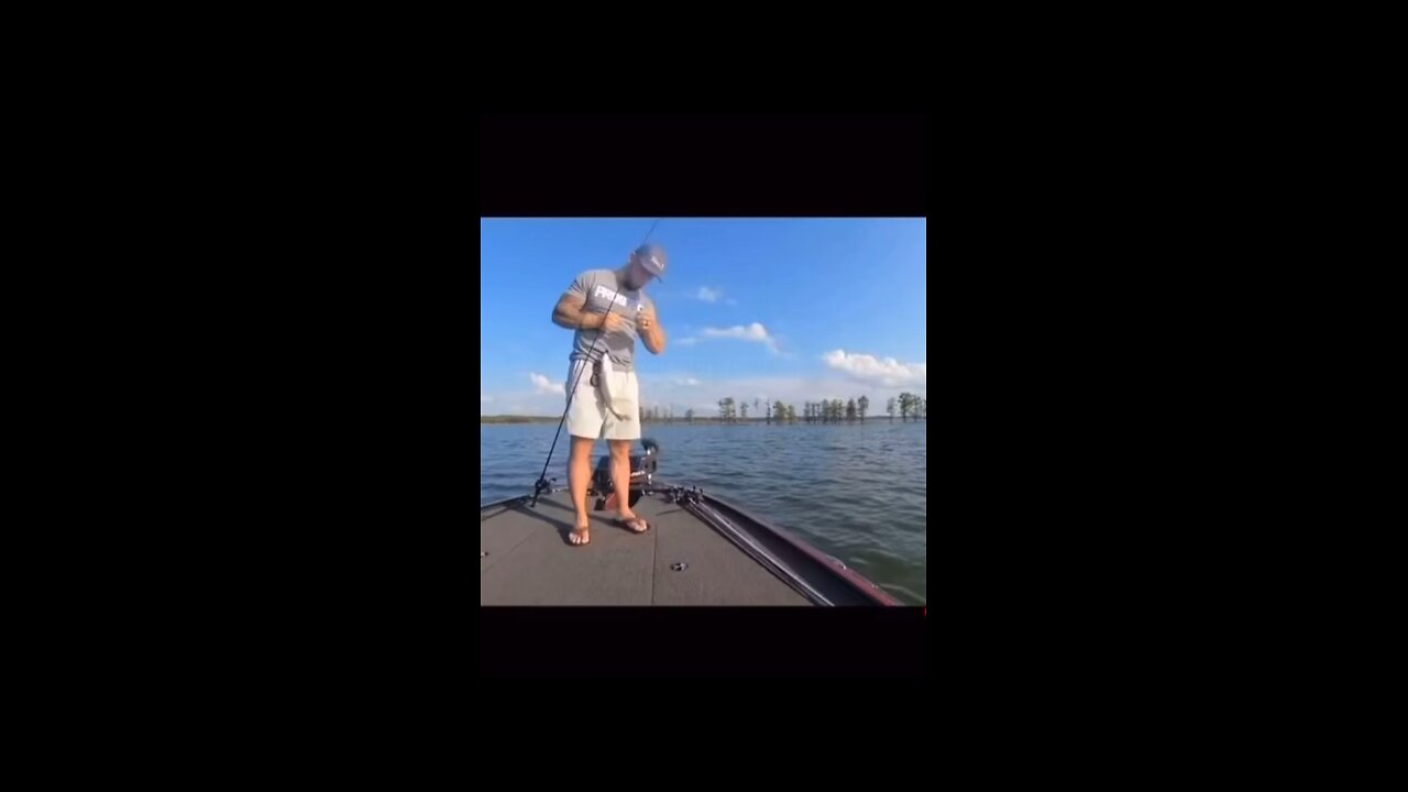 Funny fish haha