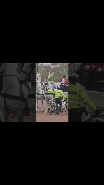 Police move on fake Charles and camilla #horseguardsparade