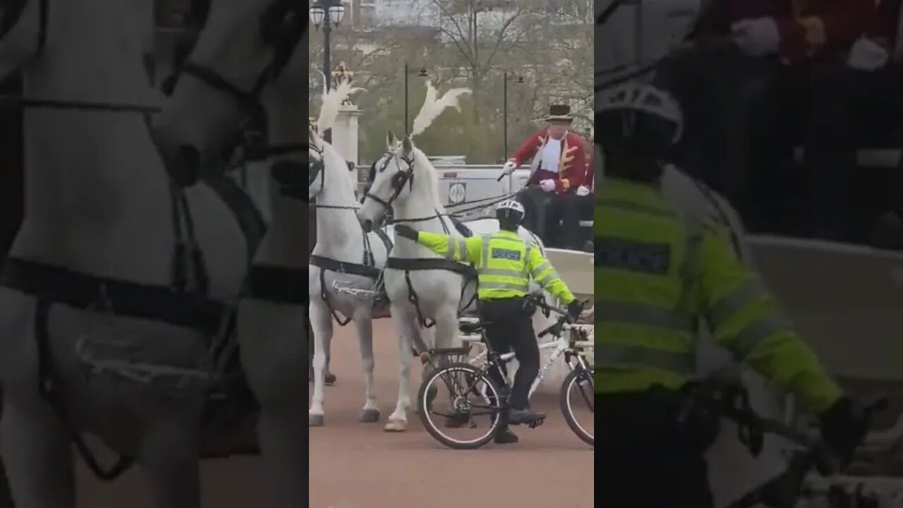 Police move on fake Charles and camilla #horseguardsparade