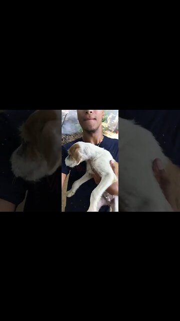 Him scared of heights