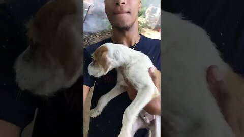 Him scared of heights