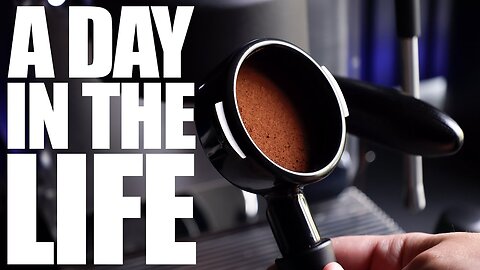 A Day In The Life | You Think You Know, And You Probably Do...