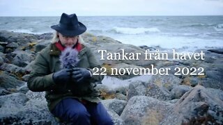 Tankar från havet 22 november 2022