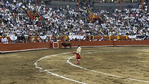 Maestro Enrique Ponce 😌