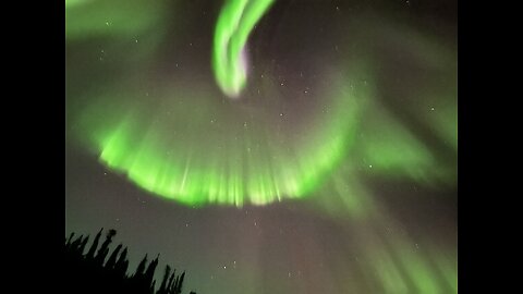 Northern Lights and Aurora Borealis Chasing Tour in Fairbanks, Alaska