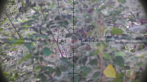Hunting my ENEMY ( ghillie suit sniper strikes) 💥💀💥