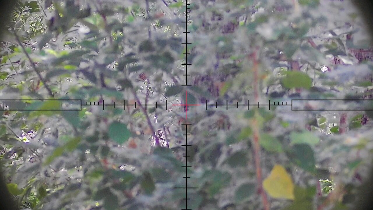 Hunting my ENEMY ( ghillie suit sniper strikes) 💥💀💥