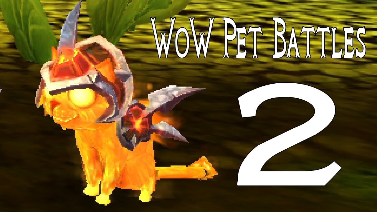 World of Warcraft Pet Battles part 2 - vs the 1st master pet trainer