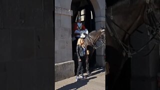 sudden move makes tourist jump #horseguardsparade