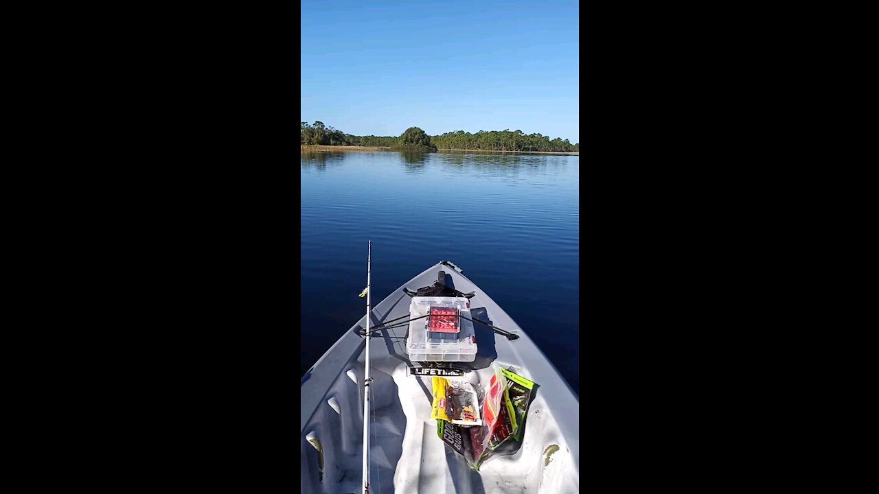 Webb Lake Florida