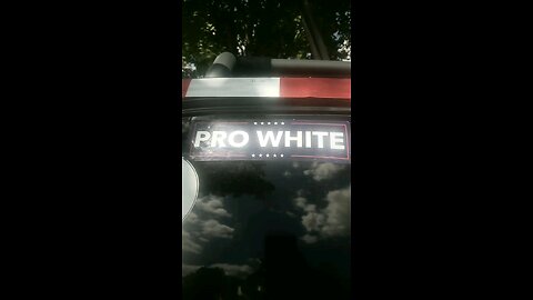 Pro White!