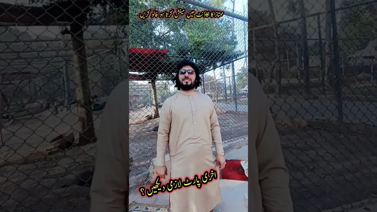 #awaztv #molanaayaz #aamolas #pashtofunny #newfunnyvideo