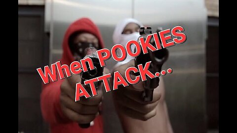 When Pookies ATTACK