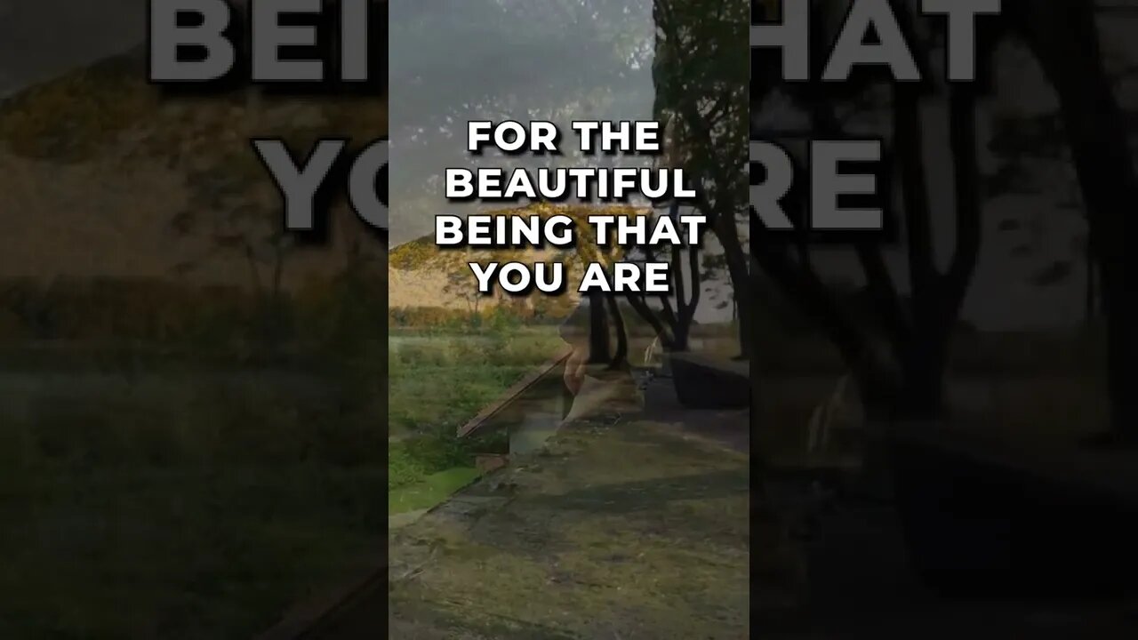 Let gratitude become one with you. #meditation #sleep #shorts