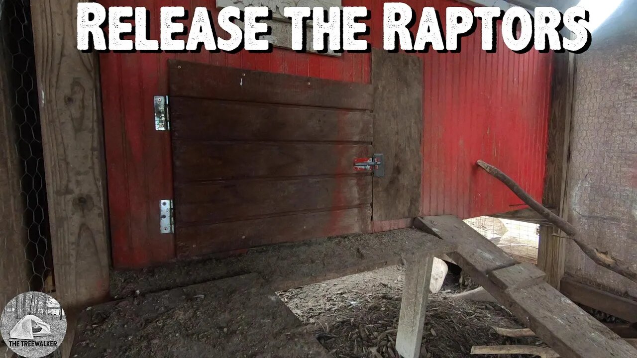 Release the Raptors!