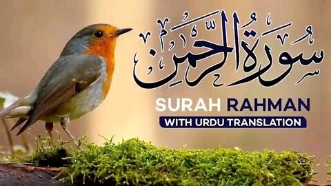 Surah Rahman ( سورة الرحمان) with urdu translation || protection || blessing