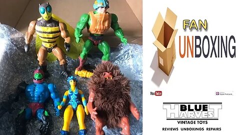 AMAZING SURPRISE FAN UNBOXING MOTU