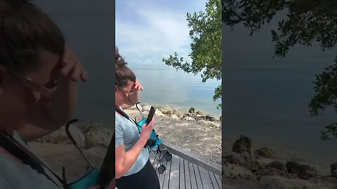 Photo Attempt Biscayne National Park 8 Kids!!!