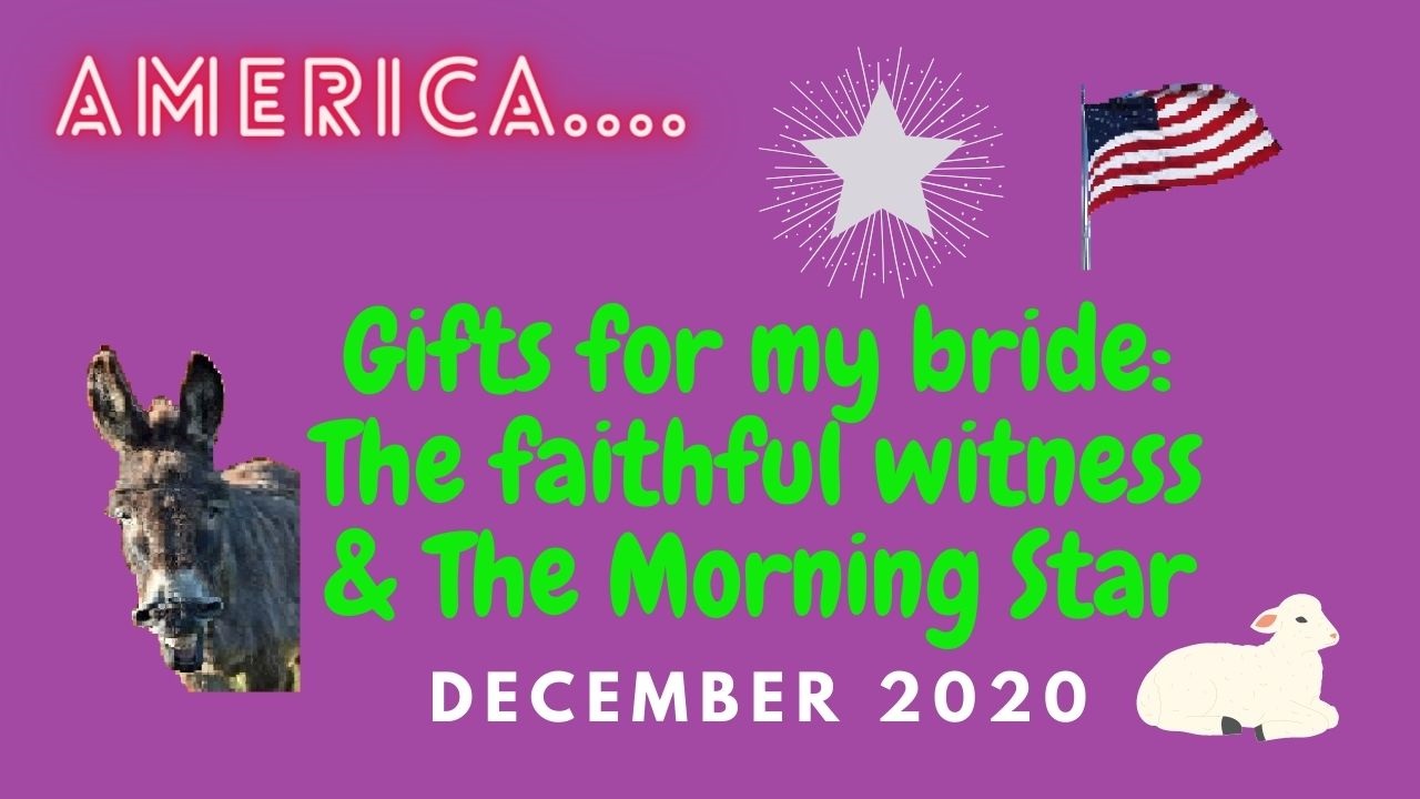 A DONKEY TO THE CHURCHES IN THE USA-PART 2, DECEMBER 9, 2020