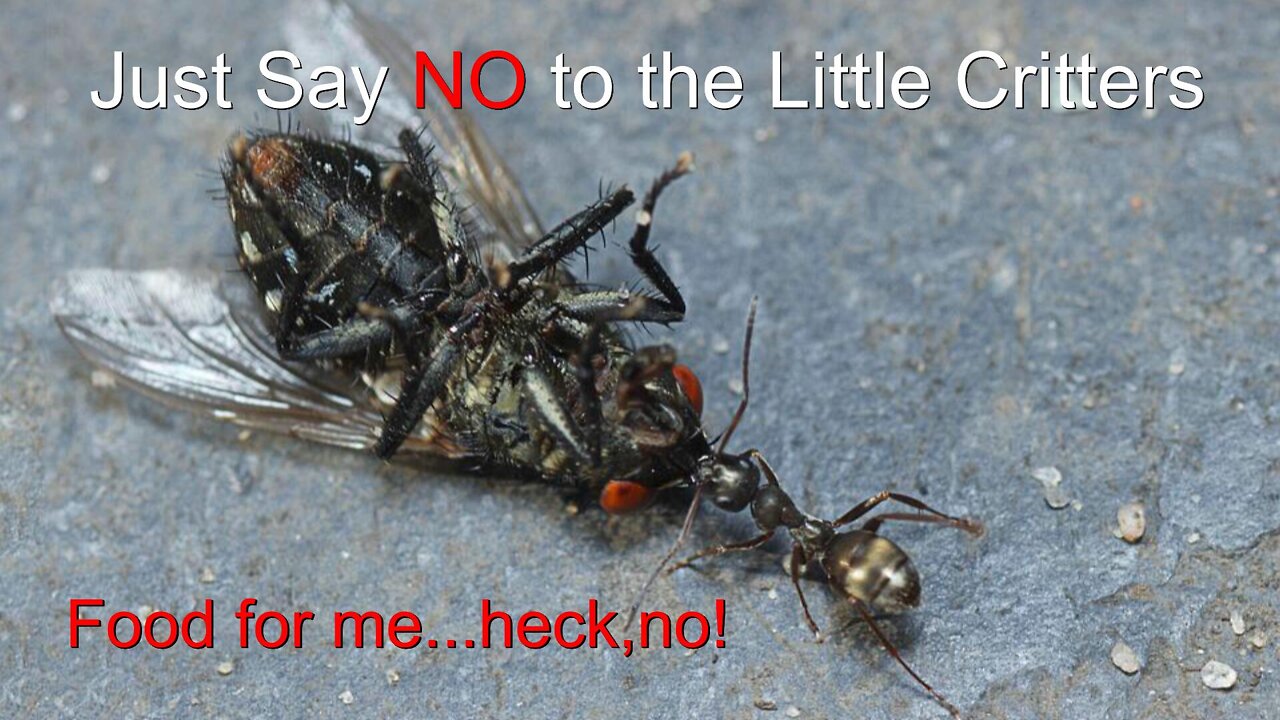 Just Say No to the Little Critters