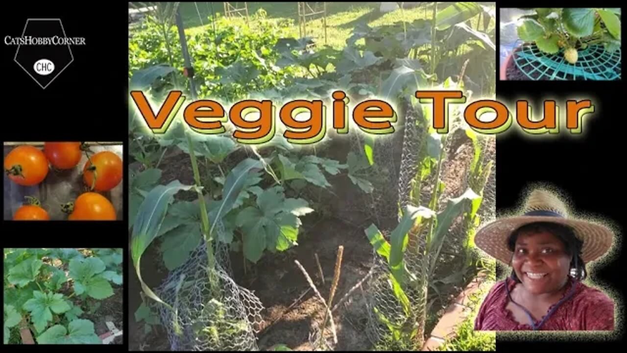 Veggie Update - 18Jul2022