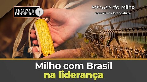 Milho com Brasil na liderança