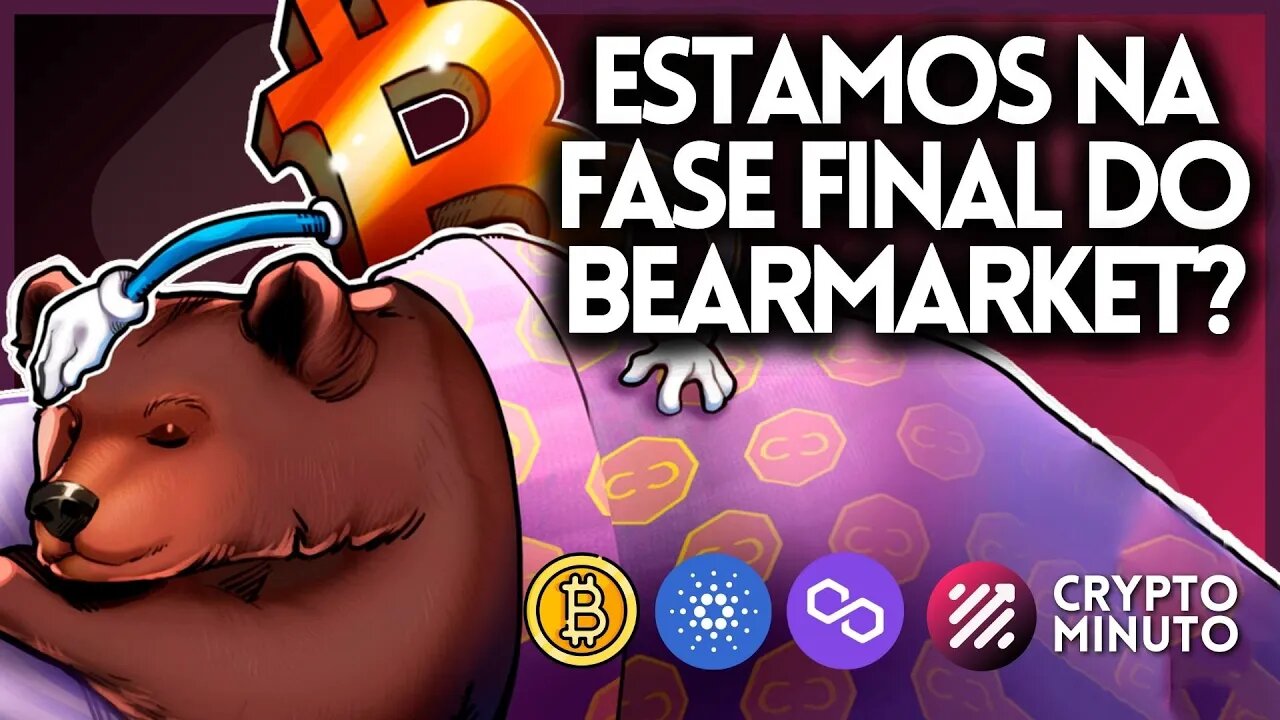FASE FINAL DO CICLO BTC - TOKEN DA SELEÇÃO LEVA CALOTE - ADA E MATIC PROMETEM - CRIPTO NOTÍCIAS HOJE
