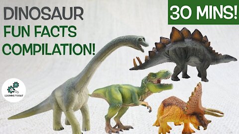 Learn about DINOSAURS! | 30 Mins Fun & Educational Compilation| Dinosaurs For Kids | Dinosaur Facts