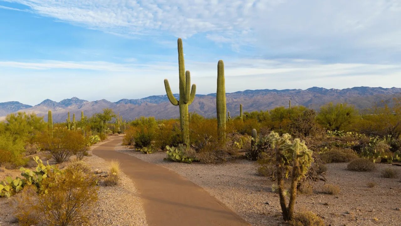 In an undisclosed location in Arizona an inventor claims to have a solid-state free energy device