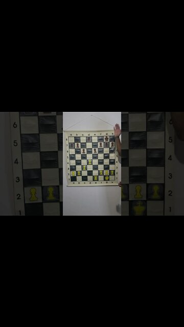 What is a Half Open File in Chess?