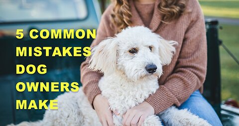 5 Common Mistakes Dog Owners Make