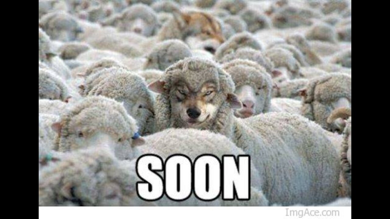 Its time to ditch the sheep and organize the wolfpack!!
