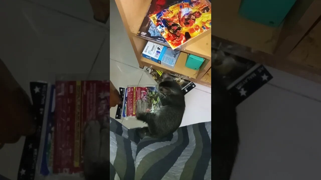 Cat is eating away my DVD's