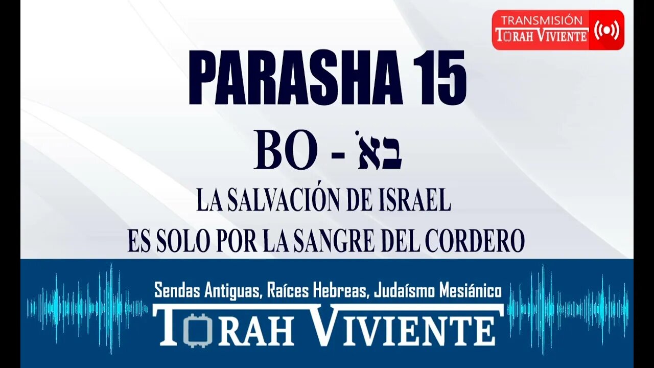 PARASHA 15 BO / LA SALVACIÓN DE ISRAEL ES SOLO POR LA SANGRE DEL CORDERO